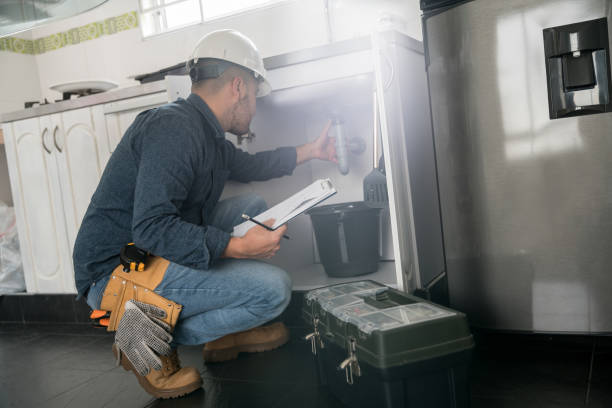 Best Residential Plumbing Services  in Johnson Lane, NV