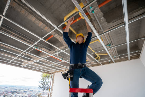 Best Affordable Plumber Near Me  in Johnson Lane, NV
