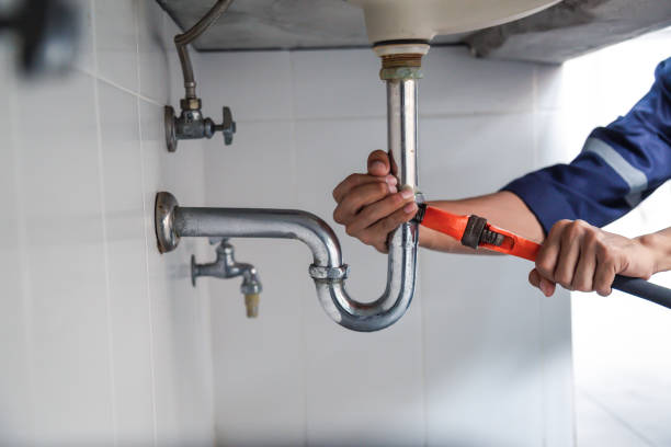 Best Plumbing Inspection Services  in Johnson Lane, NV