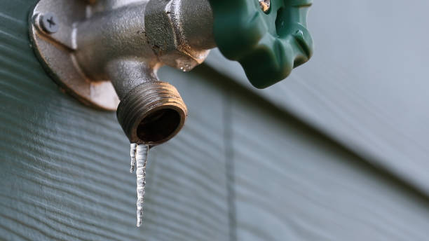 Best Emergency Plumbing Repair  in Johnson Lane, NV