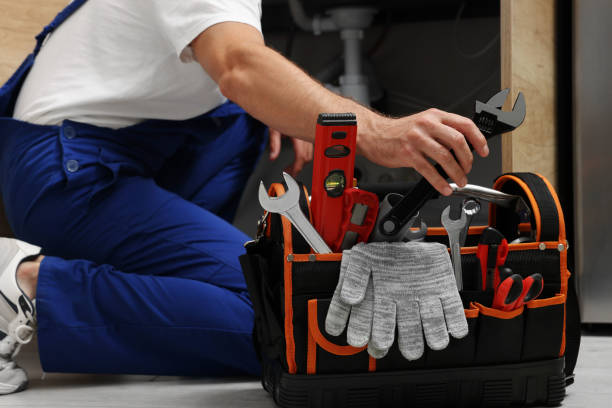 Best Affordable Plumbing Services  in Johnson Lane, NV