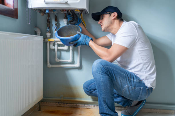 Best Plumbing Services Near Me  in Johnson Lane, NV