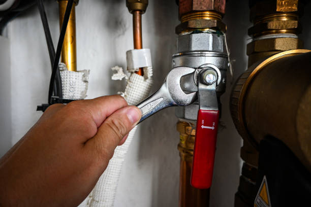 Best Clogged Drain Plumber  in Johnson Lane, NV